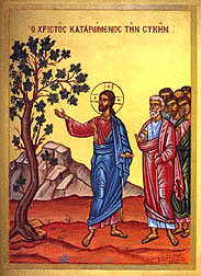 Jesus Curses the fig tree. Does the bible promote a death cult?